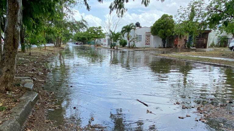 Playa del Carmen ya tiene planes de contingencia en caso de huracán: cuenta con 45 refugios temporales