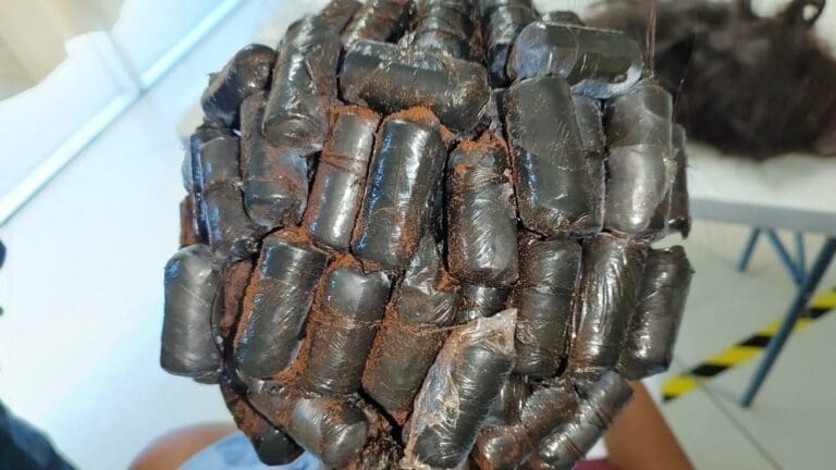 Transportan cocaína en narcopelucas y son detenidas