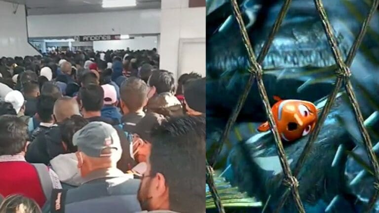 Pasajeros cantan ‘Nadaremos’ de ‘Buscando a Nemo’ en metro de la CDMX y se vuelve viral