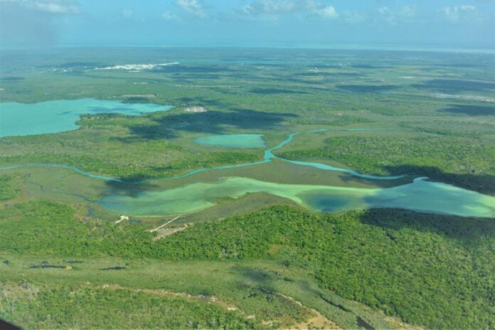 Ha quedado extinto el fuego forestal en 7 mil 554 hectáreas en Quintana Roo