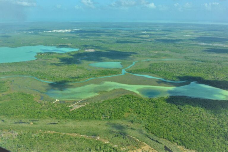 Ha quedado extinto el fuego forestal en 7 mil 554 hectáreas en Quintana Roo