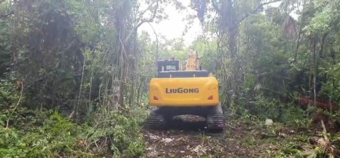 Mediante un nuevo video los ambientalistas que se oponen al Tren Maya hablaron de los daños que le causará a la selva el proyecto.
