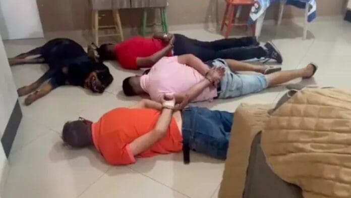 Perro guardián se acuesta junto a banda de narcotraficantes que fue detenida