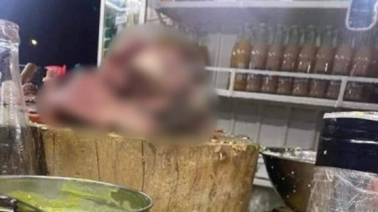 Exhiben presunta cabeza de perro en taquería callejera de la CDMX