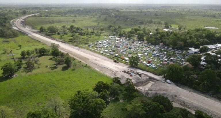 El Tren Maya causará daños al acuífero, al medio ambiente y a las especies. Activistas alertan el daño que le hará a la selva.