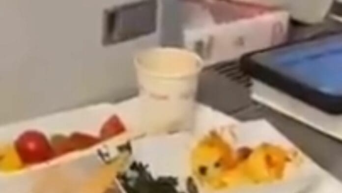 Azafata encuentra cabeza de una serpiente en comida del avión