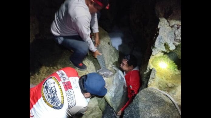 Rescatan a tortuga atorada entre piedras en Cozumel