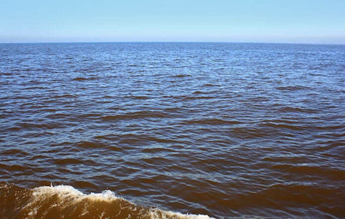 Alerta en Yucatán: Detectan marea roja en el noroeste de la costa