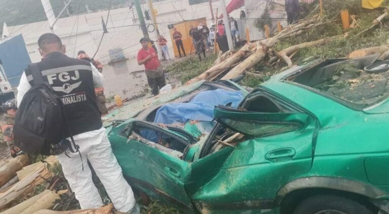Un árbol cayó encima de un taxi en el Estado de México; debido a ello una persona perdió la vida. Otra fue llevada a un hospital.