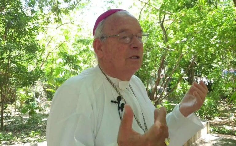 ‘Ley Vicaria’, una iniciativa sesgada y manipulada por la ideología de género, asegura Obispo Pedro Pablo Elizondo