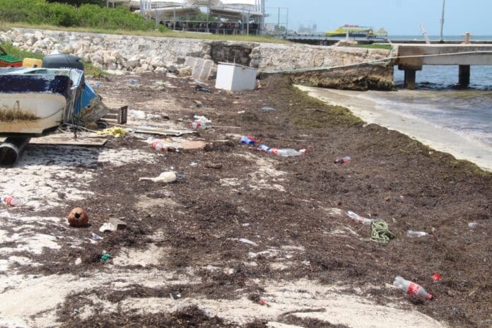 Basura y sargazo 'acumulado' anegan el tramo más turístico de Puerto Juárez