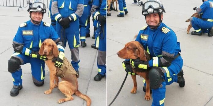 “Max” y “Green”, dos perritas de la Raza Bloodhound, integrantes del equipo USAR-MARINA