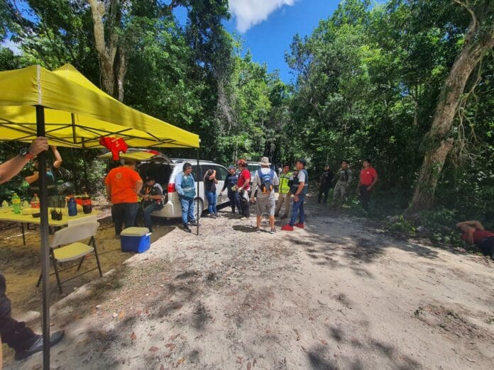 Brasileño se extravía en Central Vallarta