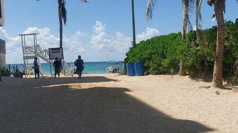 Playa Pelícano ya es Blue Flag, en Playa del Carmen