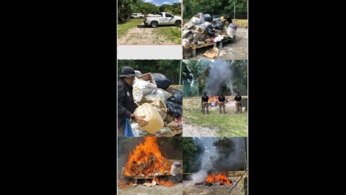 Incineran más de 500 kilos de droga en Quintana Roo