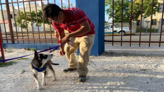 La empresa Aguakan adopta parque en Villas del Sol y lo habilita para mascotas