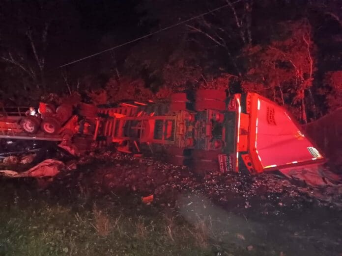 Vuelca tráiler cargado de cervezas en la vía Tulum-Felipe Carrillo Puerto; automovilistas realizan rapiña￼