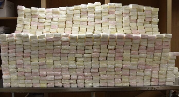 Golpe al narco: decomisaron más de media tonelada de cocaína valuada en USD 12 millones