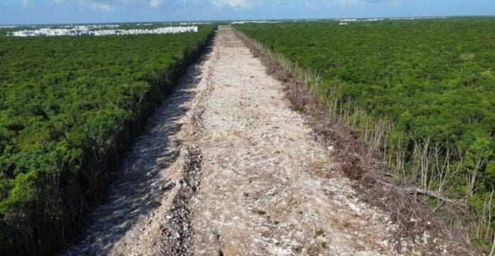 Por fin el tramo 5 del Tren Maya ha recibido la autorización de Semarnat, aunque establecieron 26 condiciones que la obra debe cumplir.