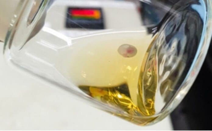 Embriones sintéticos de ratón creados sin esperma ni óvulos