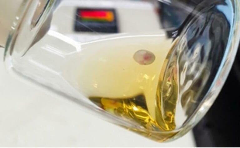 Embriones sintéticos de ratón creados sin esperma ni óvulos