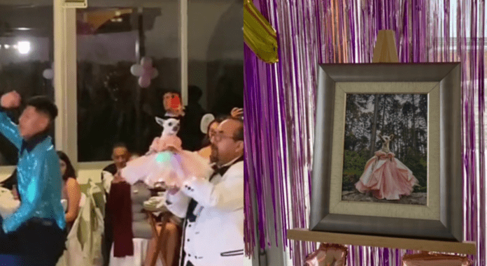 Con vals y vestido celebran XV años de perrita