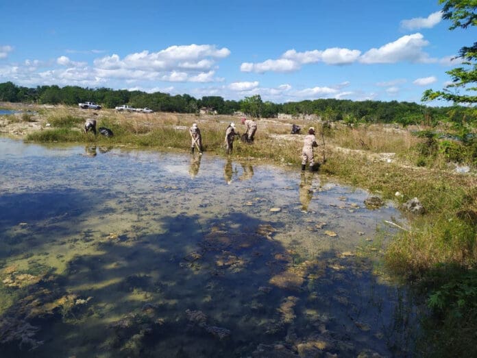 Quintana Roo mantiene el estatus de “transmisión local de paludismo eliminada”