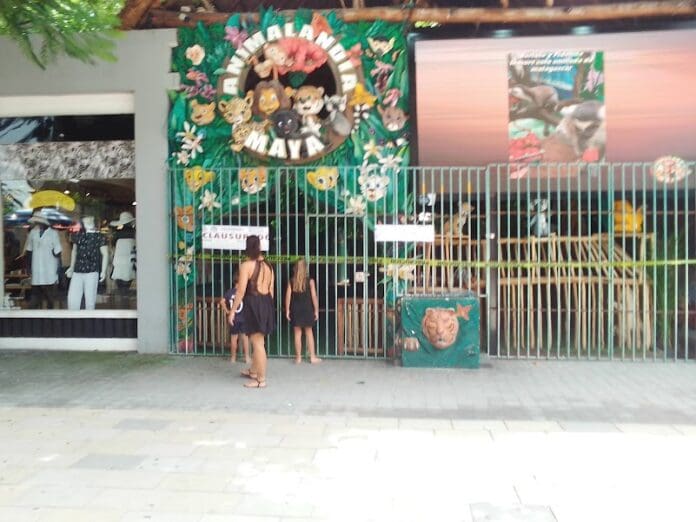 Dueño de Animalandia afirma que pronto reabrirá local asegurado