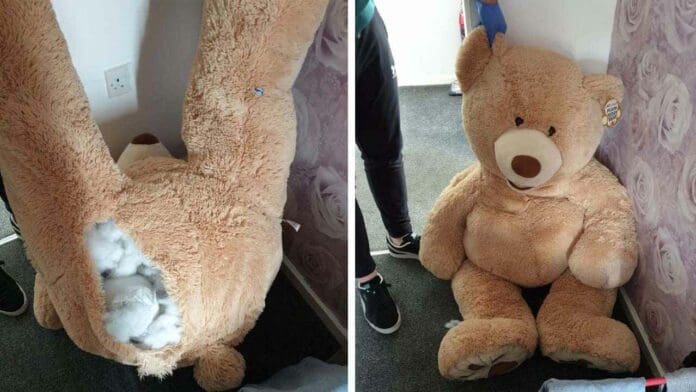 Ladrón se disfraza de oso de peluche para escapar de la policía, lo detienen