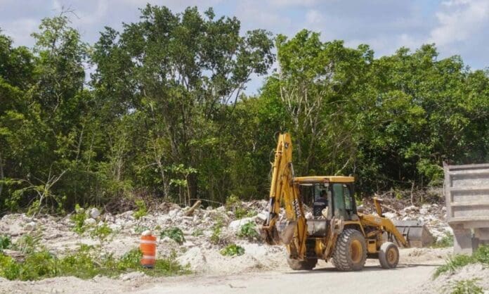 Para ambientalistas como los de Gema, es posible el diálogo con el frente a favor del Tren Maya siempre y cuando se dé con respeto.