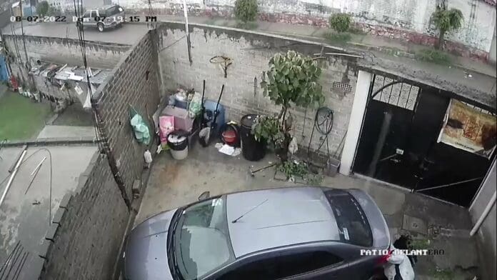 VIDEO: se abre socavón en el patio de una casa, cae una persona