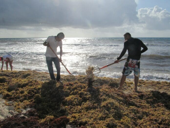 Redoblan esfuerzos con programa 