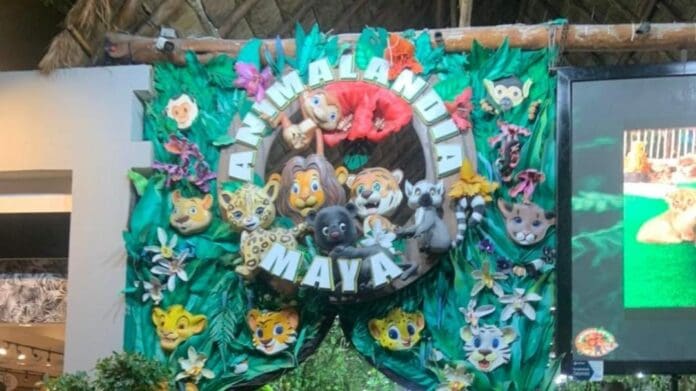 Por un hallazgo de drogas fueron clausurados tanto Animalandia Maya como otro negocio en Playa del Carmen, un restaurante.