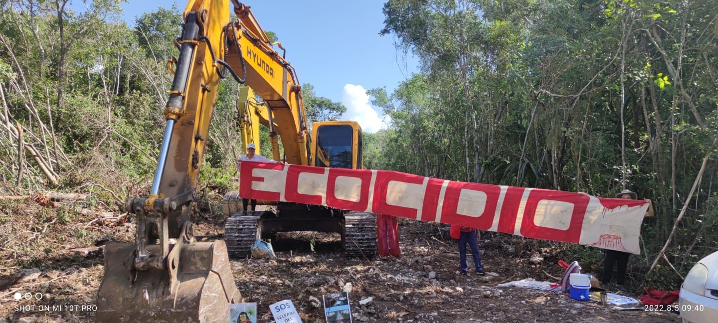 'Mentiras' de Fonatur solo han sumado a más gente a la defensa de la selva: ambientalista