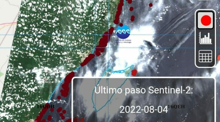 Desarrolla UNAM portal gratuito para monitorear el sargazo en Quintana Roo