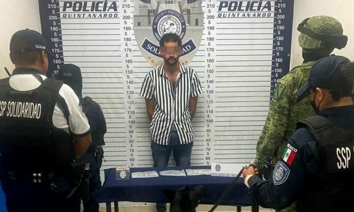 Perro policía detecta a sujeto con dosis de LSD en la Quinta Avenida