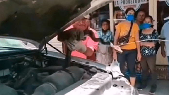 Hallan serpiente gigante en Oaxaca