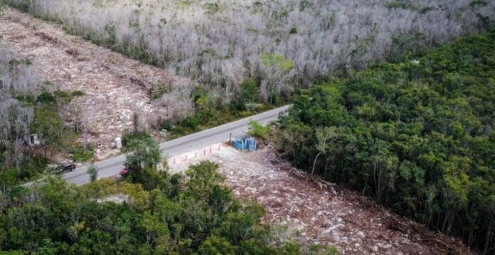 De acuerdo con el gobierno, el juez de Mérida revocó tres suspensiones del tramo 5 sur del Tren Maya, por lo que seguirán los trabajos.