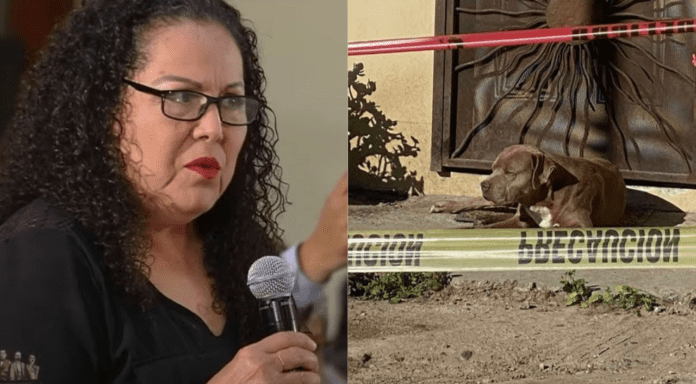 Sociedad Interamericana de Prensa premia post mortem a periodistas mexicanos asesinados