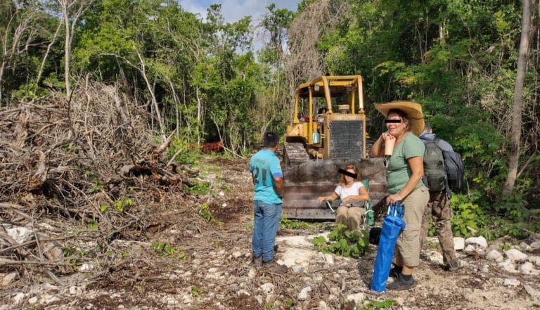 Integrantes de "Selvame del Tren" vuelven detener obras del Tramo 5 del Tren Maya