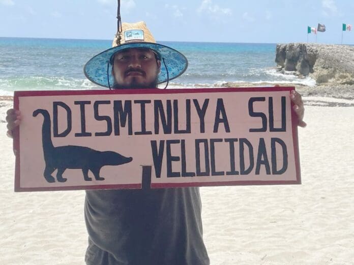 Jóvenes cozumeleños en conjunto con la FPMC colocarán letreros preventivos del paso de fauna silvestre en carreteras