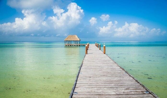 En el marco del Día Internacional del Turismo, FETUR organizó una conferencia con un experto en el sector, Joan Passolas.