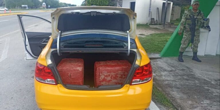 Capturan en Bacalar a taxista que transportaba 20 kilos de marihuana en la cajuela 