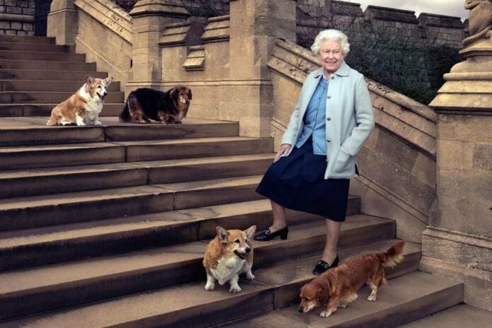Esto pasará con los perros corgi de la reina Isabel II tras