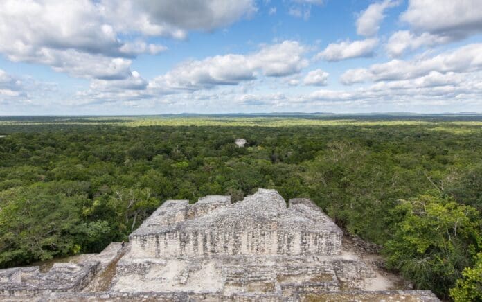 Descubren 'impresionante' sitio arqueológico en el Tramo 5 Sur del Tren Maya