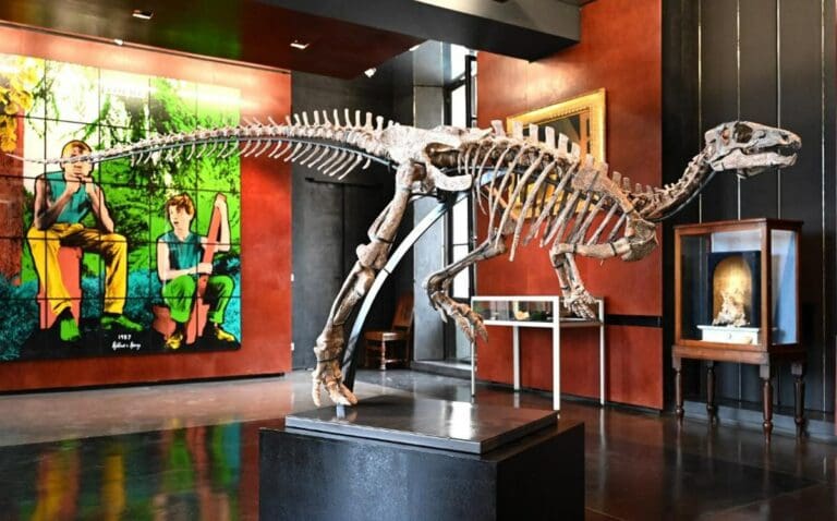 Subastan esqueleto de dinosaurio de 150 millones de años por miles de dólares