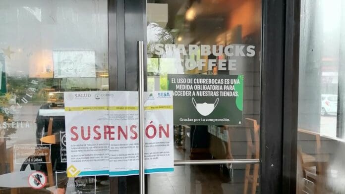 Suspenden a sucursal de Starbucks en Cancún tras ser denunciada por tener cucarachas