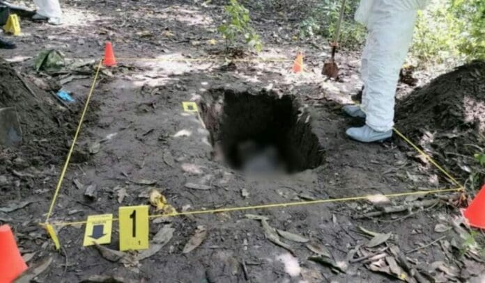 En el estado de Colima hallaron seis fosas clnadestinas con el mismo número de cuerpos; ya las autoridades investigan en la zona.