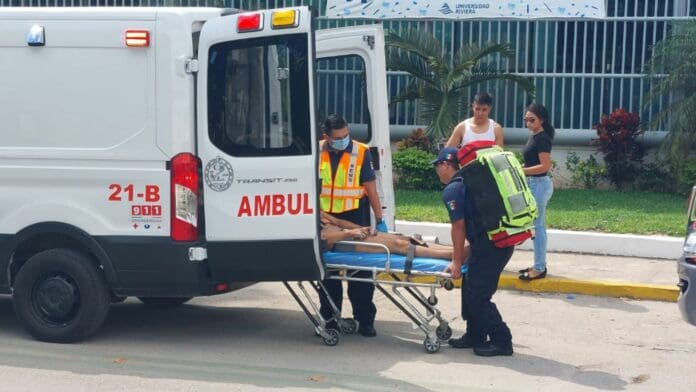 Hospitalizan a dos hombres, tras ataque de abejas, en Playa del Carmen