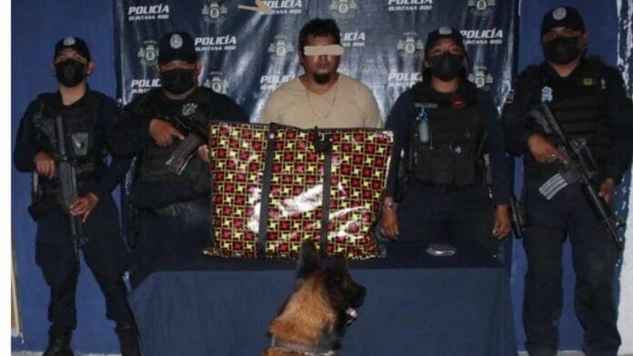 Capturan, con ayuda de binomio canino, a sujeto con ocho paquetes de droga en Playa del Carmen